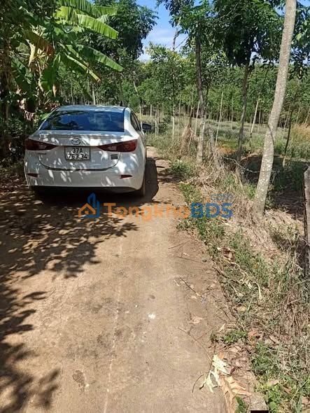 Đất nền An Khương Hớn Quản 1000m² 155 triệu - Hạ tầng hoàn thiện