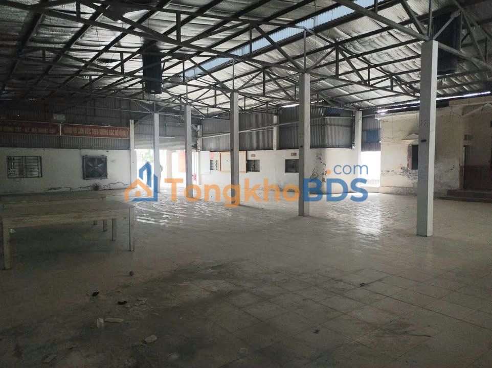 Đất nền Tiên Lãng HP 442m² 15 tỷ - Sổ đỏ chính chủ