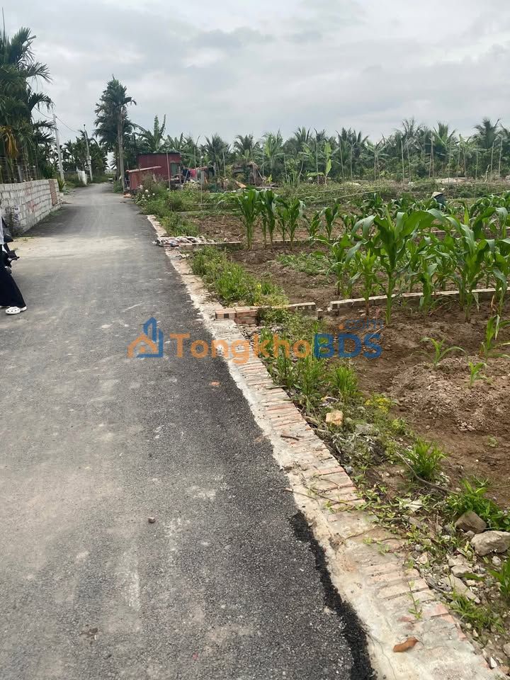 Đất nền Đồ Sơn 74m² giá thỏa thuận - Giá tốt hiếm có