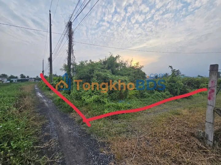 Đất nền Mỹ Lệ Cần Đước 1970m² thỏa thuận - Đất thổ cư 100%