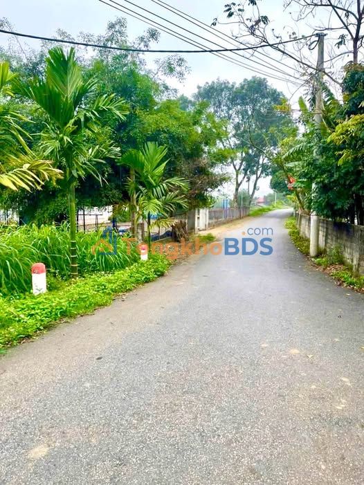 Đất Vĩnh Phúc 225m² - Giá Hơn 800 Triệu, Đường Thông, Sổ Đỏ