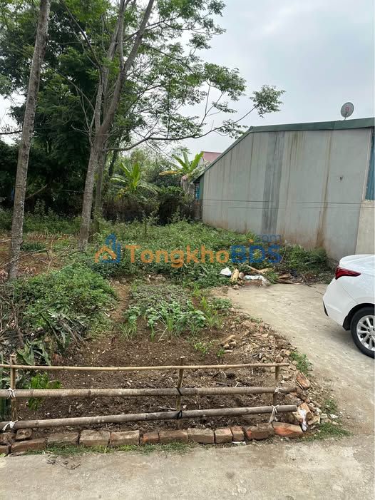 Đất nền Cẩm Đội Việt Trì 127m² 1 tỷ - Sổ đỏ chính chủ