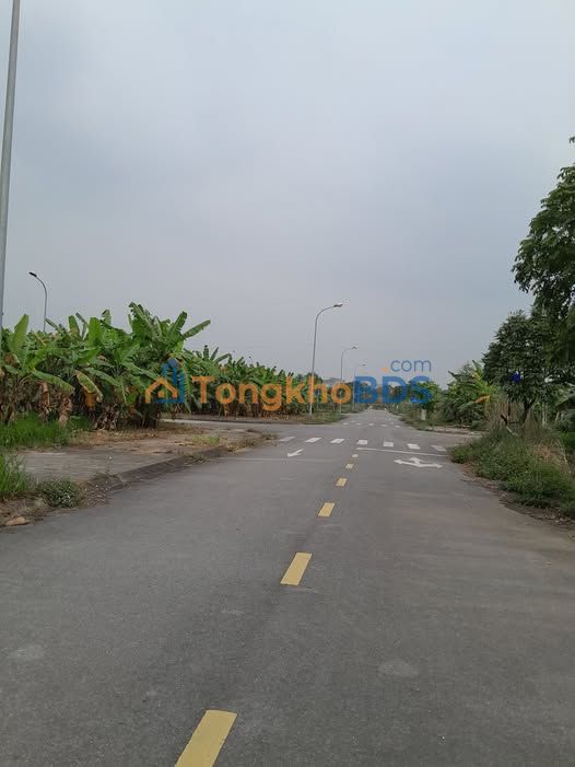 Đất nền KĐT Bến Gót Việt Trì 90m² thỏa thuận - Tiềm năng tăng giá