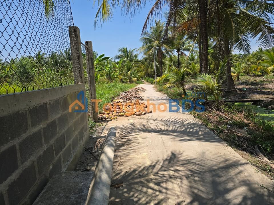 Đất nền Chợ Gạo 149m² giá 5xxtr - Sổ đỏ chính chủ