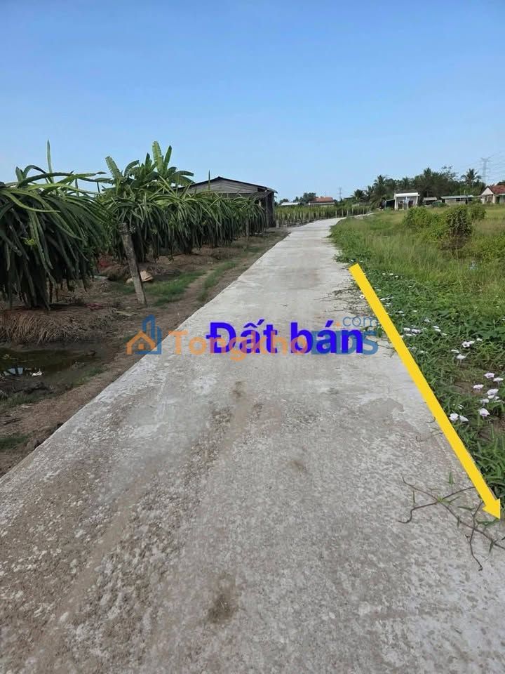 Đất nền xã Vĩnh Công 924m² giá 550 triệu - Sổ đỏ chính chủ