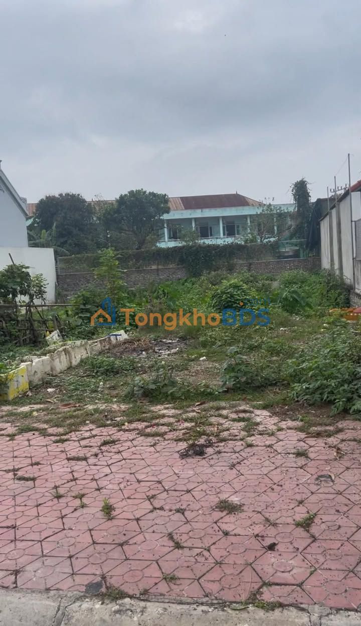 Đất nền Thị trấn Lâm 120m² giá 3 tỷ - Vị trí đắc địa