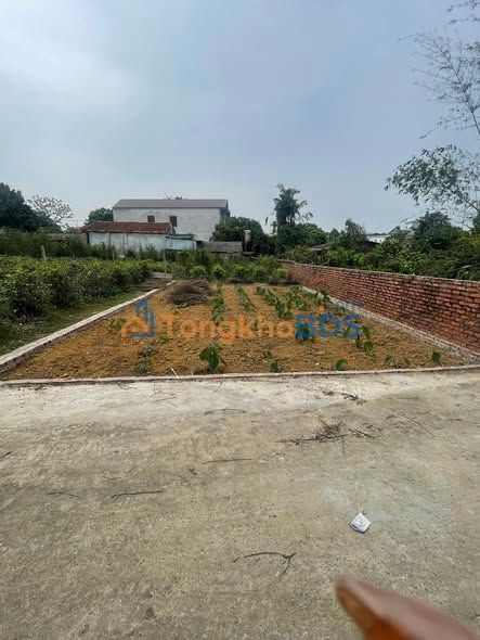 Đất Phú Cát Quốc Oai 100m² giá nhỉnh 3 tỷ - Thổ cư 100%