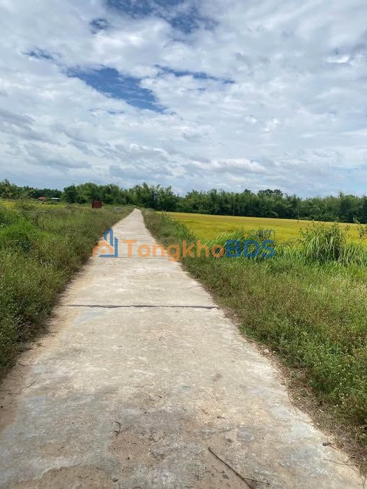 Đất nền Cát Tân Phù Cát 190m2 4xxtr - Sổ đỏ chính chủ