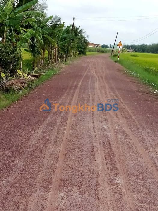 Đất nền Đường Đỏ Củ Chi 600m² 3x tỷ - Đất thổ cư 100%