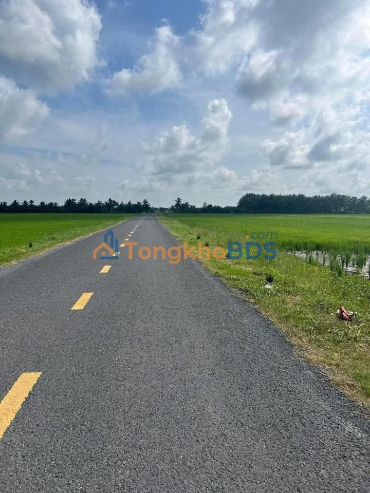 Đất nền Tập Ngãi Trà Vinh 1.360m² giá 2,2 tỷ - Sổ đỏ chính chủ