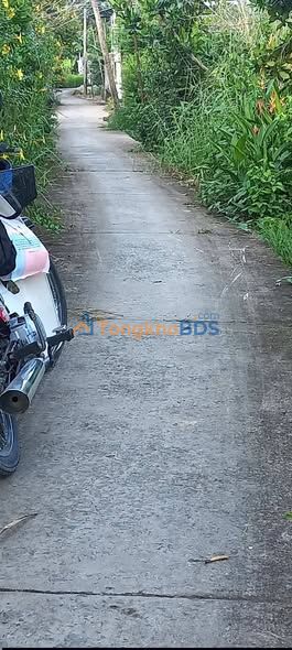 Bán Nền Thổ Cư 252m² Ấp Phú Hòa, Cái Bè - Giá Chỉ 1.1 Tỷ