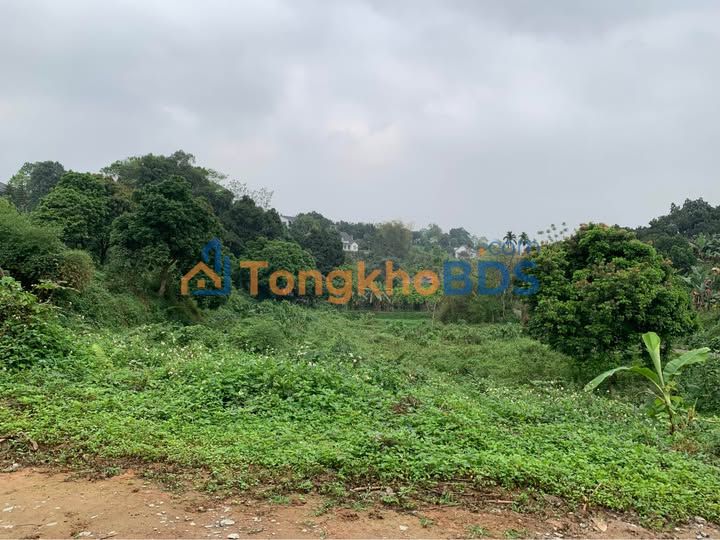 Đất nền Liên Sơn 5.569m² 22.276 tỷ - Sổ đỏ chính chủ