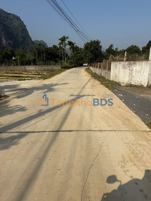 Đất nền Phú Thành Lạc Thủy 120m² 300 triệu - Sổ đỏ chính chủ