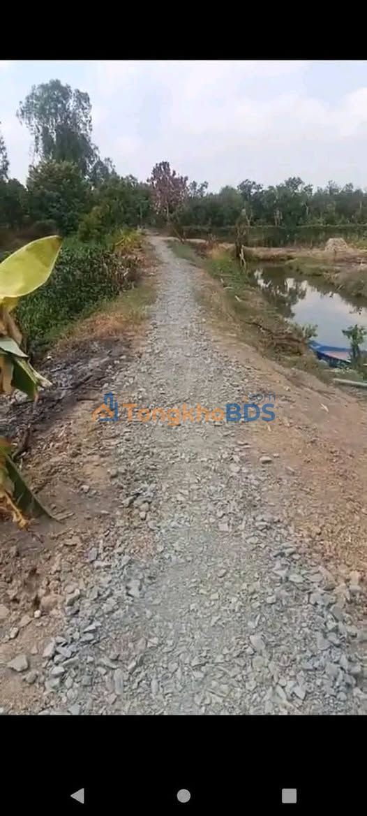 Đất nền Mỹ An Tháp Mười 1.6ha 4,32 tỷ - Đường to ô tô