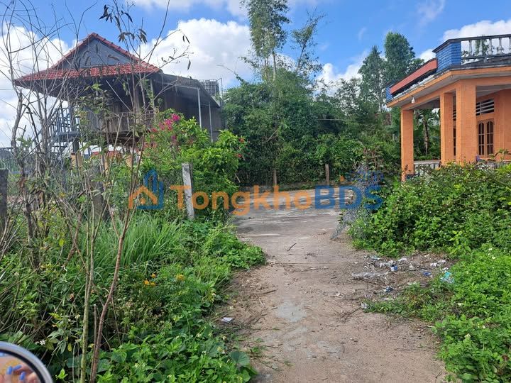 Đất nền Qui Hội Tuy Phước 100m² 3xx triệu - Sổ đỏ chính chủ