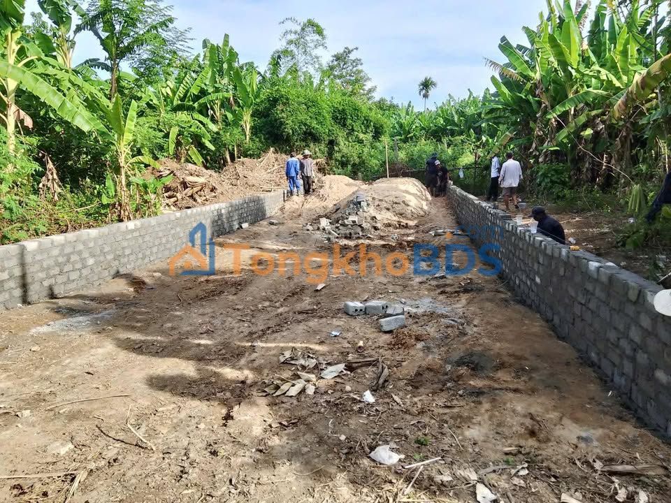 Đất Triêm Nam Điện Tiến 111m² 1.1 tỷ - Sổ hồng chính chủ