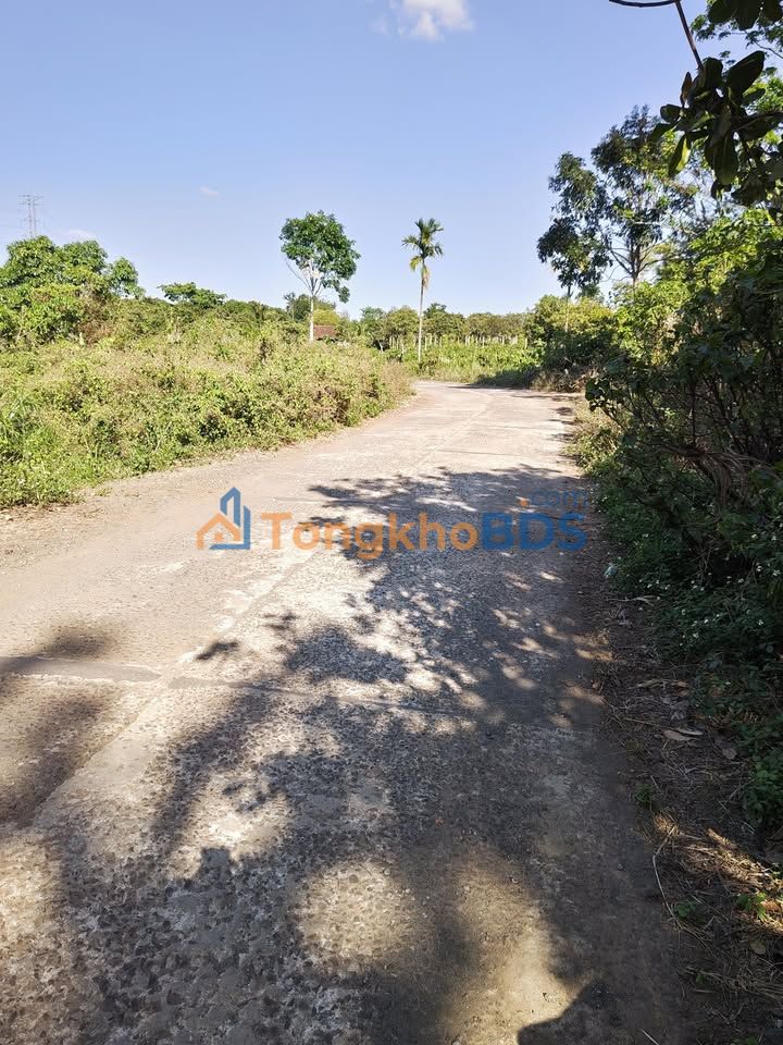 Đất nền Ea Tam Buôn Ma Thuột 4 sào 1,7 tỷ - Đường to ô tô