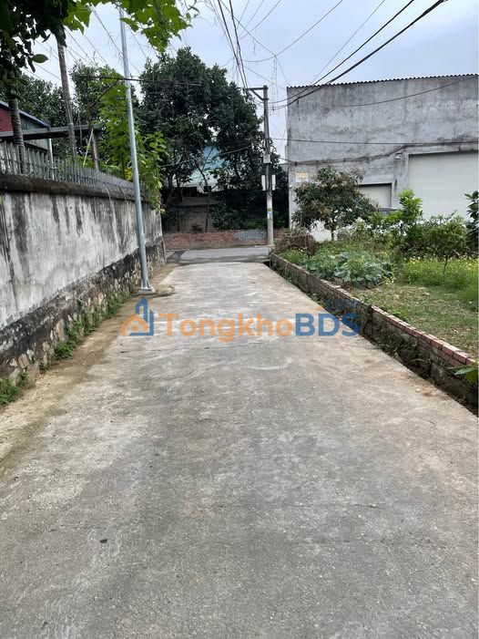 Đất nền Thôn Chè Liên Bão 76m² 1.5 tỷ - Đường ô tô