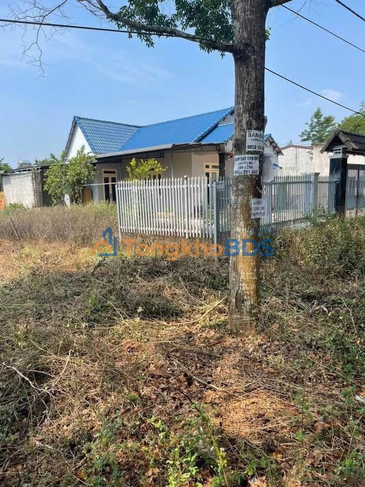 Đất nền Hòa Thắng 500m² 3.5 tỷ - Sổ đỏ chính chủ