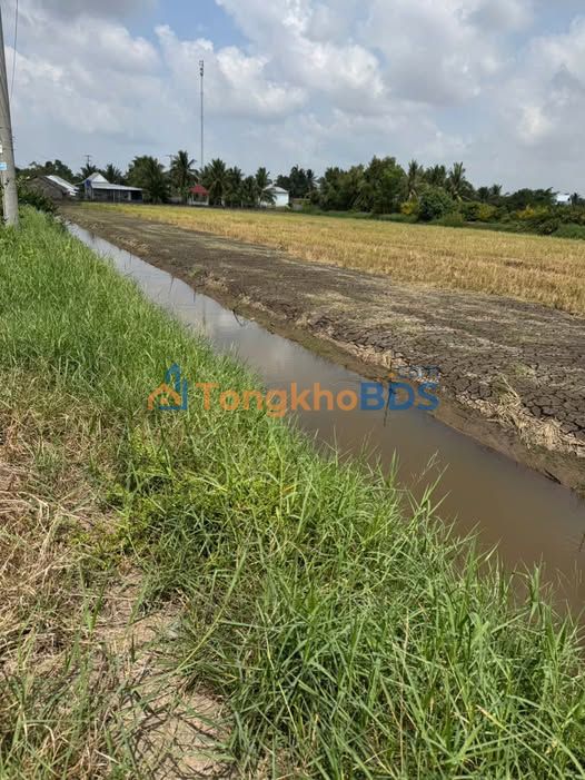 Đất CLN Hoả Lựu 500m² 200 triệu - Tiềm năng tăng giá