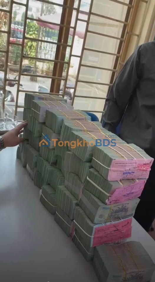 Đất Nền Lục Nam 150m² Sổ Đỏ - Giá Chỉ 7xx Triệu