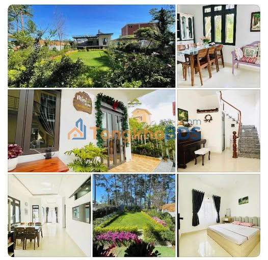 Căn hộ Đường Khe Sanh P10 Đà Lạt 2PN 9 triệu - View đẹp