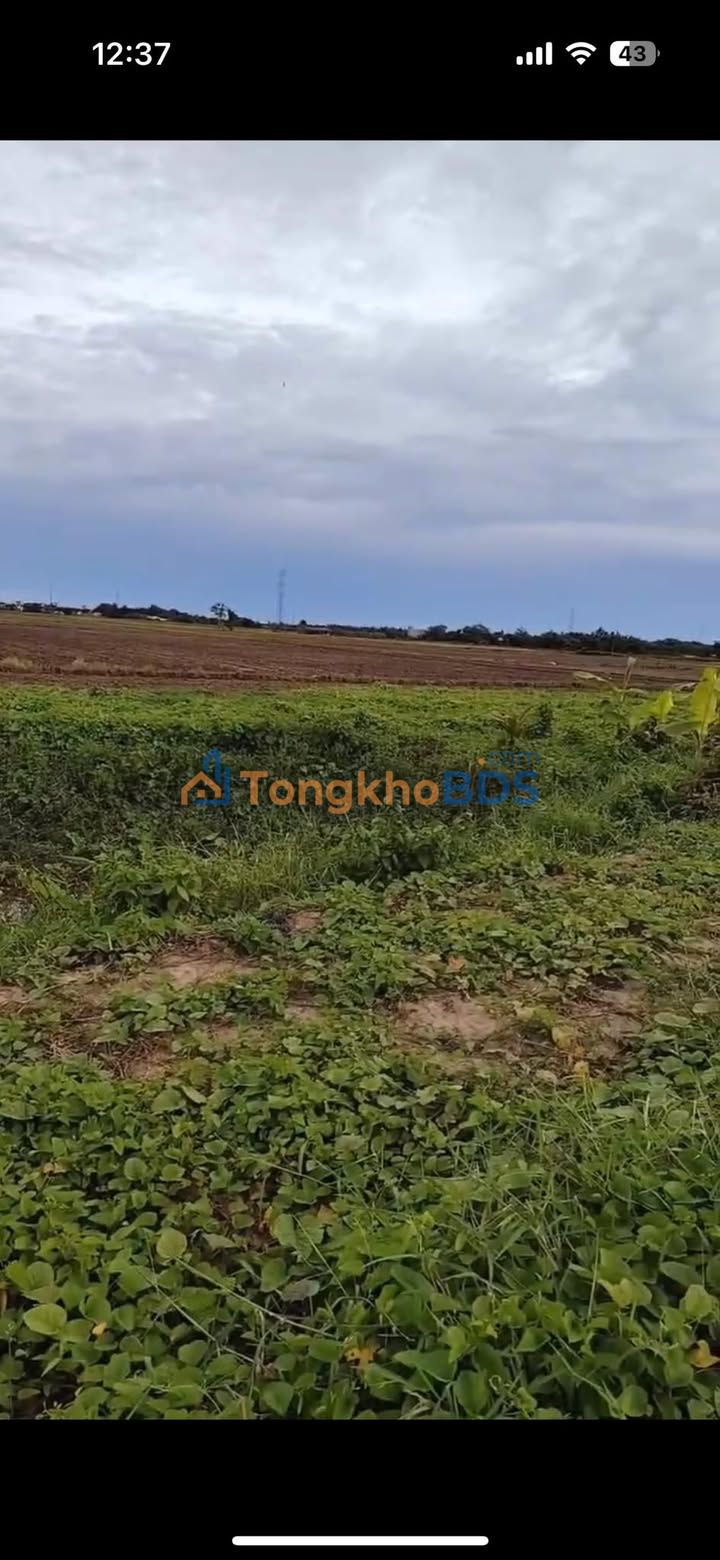 Đất nền Mỹ Xuyên 3.000m² 800 triệu - Đầu tư dài hạn