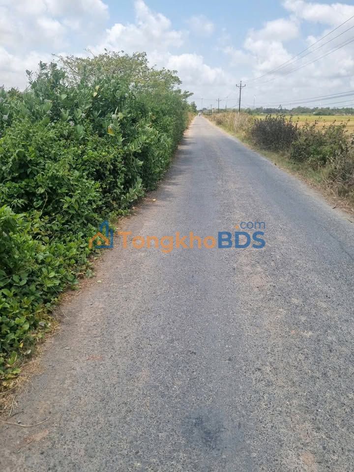 Đất ruộng Liêu Tú Trần Đề 10,000m² 6 tỷ - Đường ô tô vào