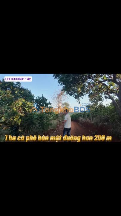 Farm Ia Kly Gia Lai 1ha 2 tỷ - An yên tĩnh lặng nghỉ dưỡng