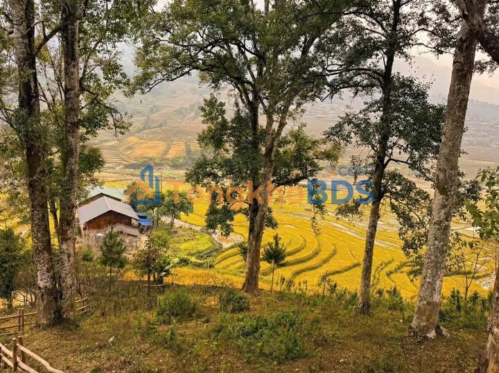 Đất Nền Sa Pa 2000m² - Sổ Đỏ Sẵn Sàng - Đầu Tư Sinh Lời Vượt Trội