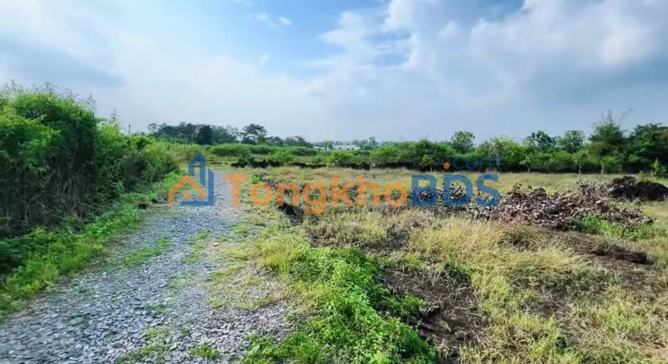 Đất nền Phú Hòa Định Quán 720m² 900 triệu - Sổ đỏ chính chủ