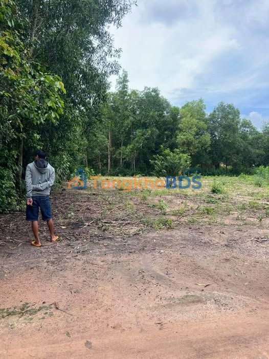 Đất Nền Phú Điền Đồng Nai 180m² Sổ Hồng Sẵn - Giá 450 Triệu