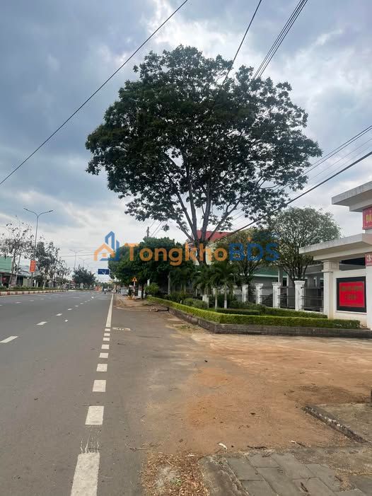 Đất Lô Góc 1330m² Mặt Tiền QL25, Chư Sê, Gia Lai - Giá Tốt