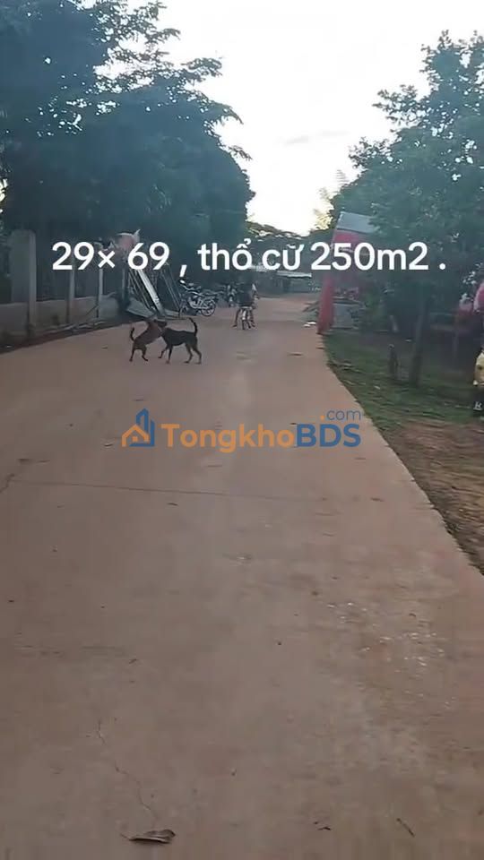 Đất nền Đăk Long Đắk Hà 1700m² giá mềm hiếm có