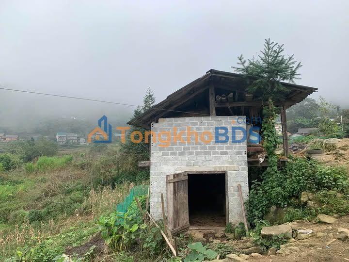 Đất Y Tý, Lào Cai 300m² - Sẵn Sàng Kinh Doanh F0