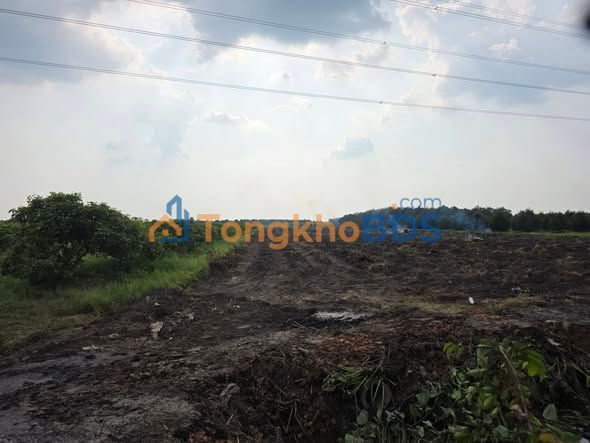 Đất vườn Trường Hòa Hòa Thành 1.6ha - Sinh thái xanh