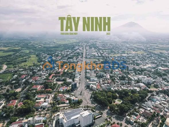 Đất Vàng 2000m² Hẻm Trần Phú, Tây Ninh - Sổ Hồng Riêng, Giá Tốt