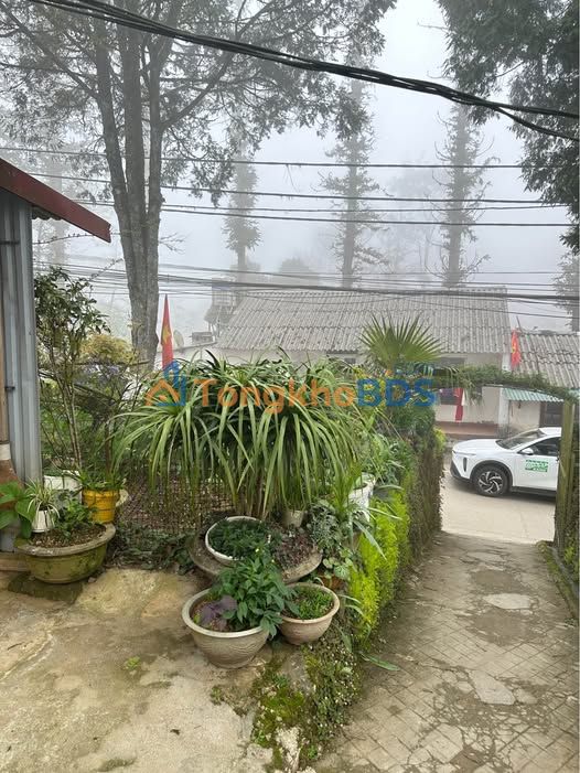 Đất Sa Pa Nguyễn Chí Thanh 600m² 2 tỷ - Tiềm năng tăng giá