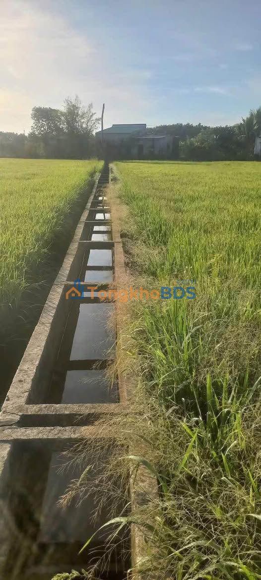 Đất vườn Thanh Sơn 2.340m² 850 triệu - Sổ hồng rõ ràng