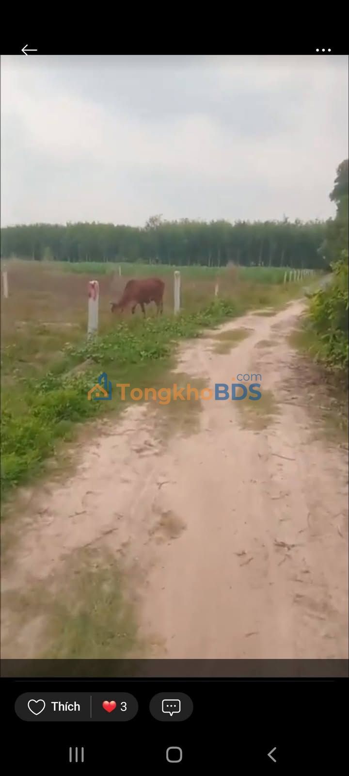 Đất nền Ấp Rộc Gò Dầu 2000m² 2.55 tỷ - Giá đầu tư tốt