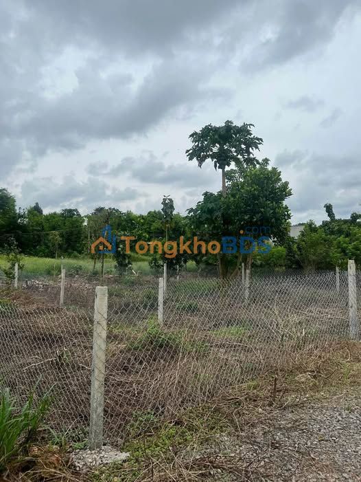 Đất nền Phú Thanh 100m² 160 triệu - Xây dựng tự do