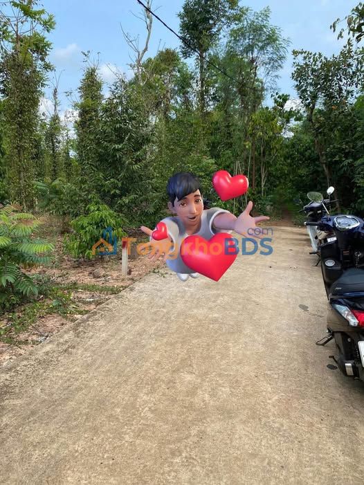 Đất nền Phú Ngọc 250m² giá 350tr - Sổ đỏ chính chủ