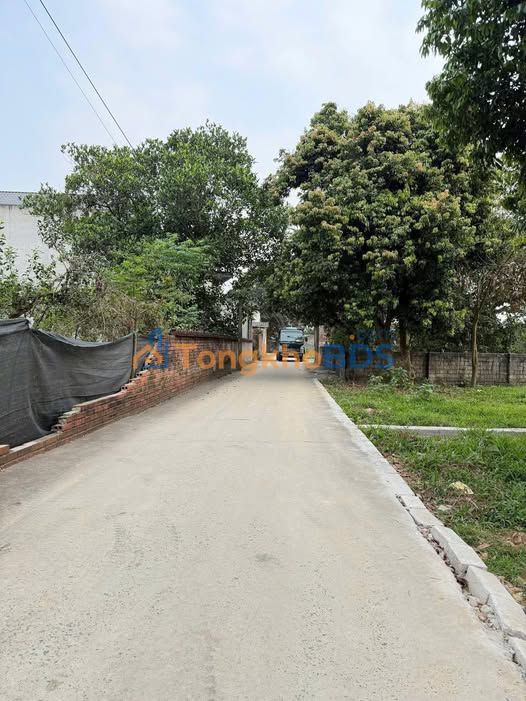 Đất Trại Hồ Cổ Vị Thanh 100m2 hơn 2 tỷ - Sổ đỏ chính chủ