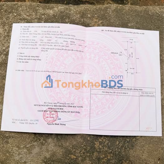 Đất Lục Nam, Bắc Giang 238.9m² - Sổ Đỏ, Mặt Tiền Rộng, Giá Đầu Tư Dưới Tỷ