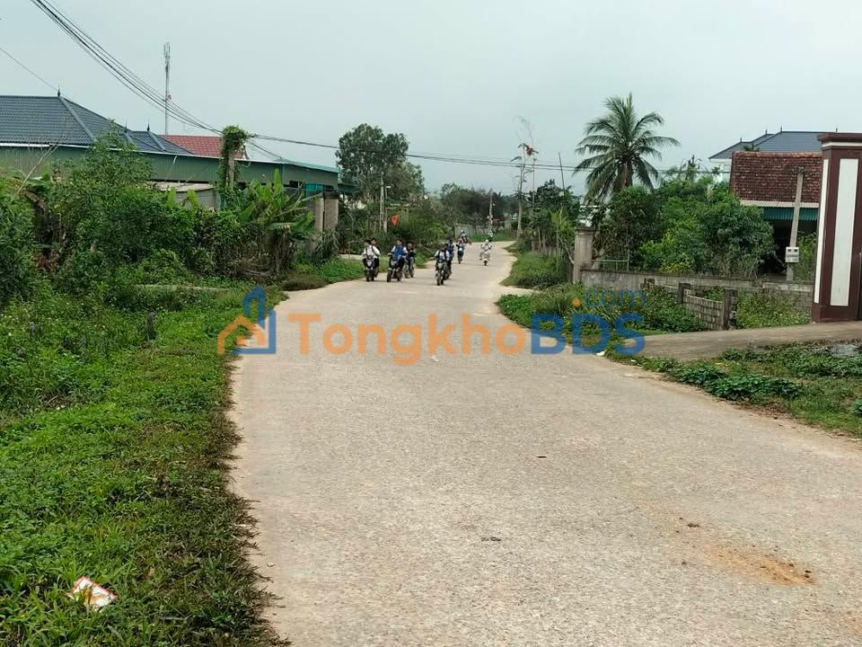 Đất nền Mã Thành Yên Thành 196m² 1 tỷ - Đường to ô tô