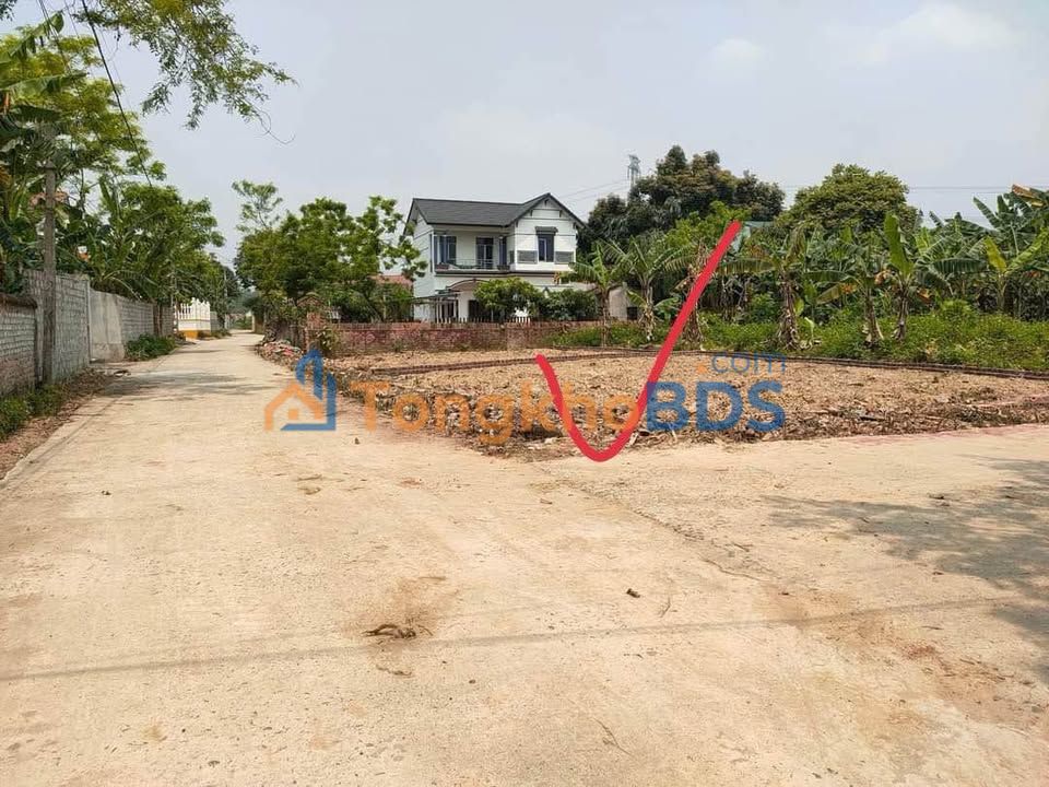 Đất nền Minh Quang Tam Đảo 101m² 1.1 tỷ - Đường ô tô tránh