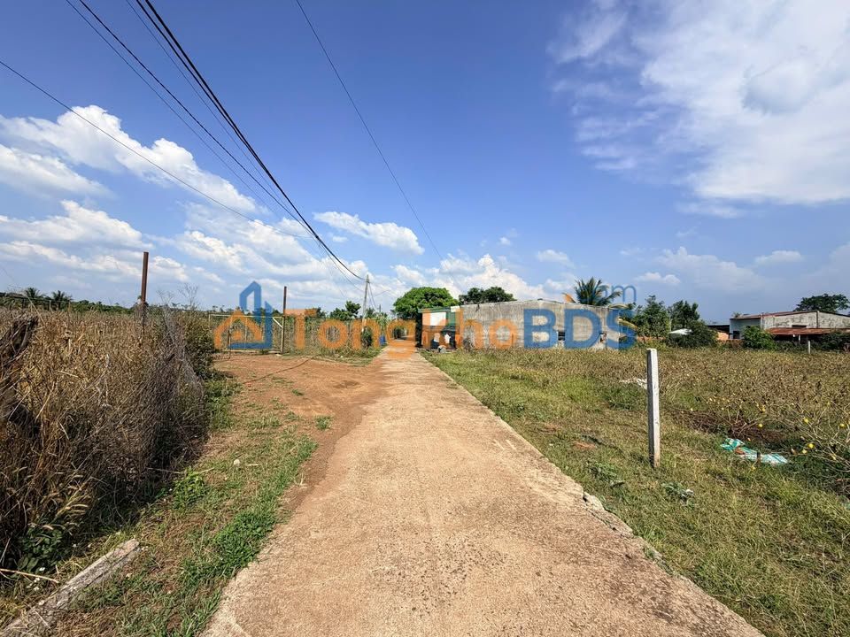 Đất nền Ea Tam 300m² giá 975 triệu - Tiềm năng tăng giá