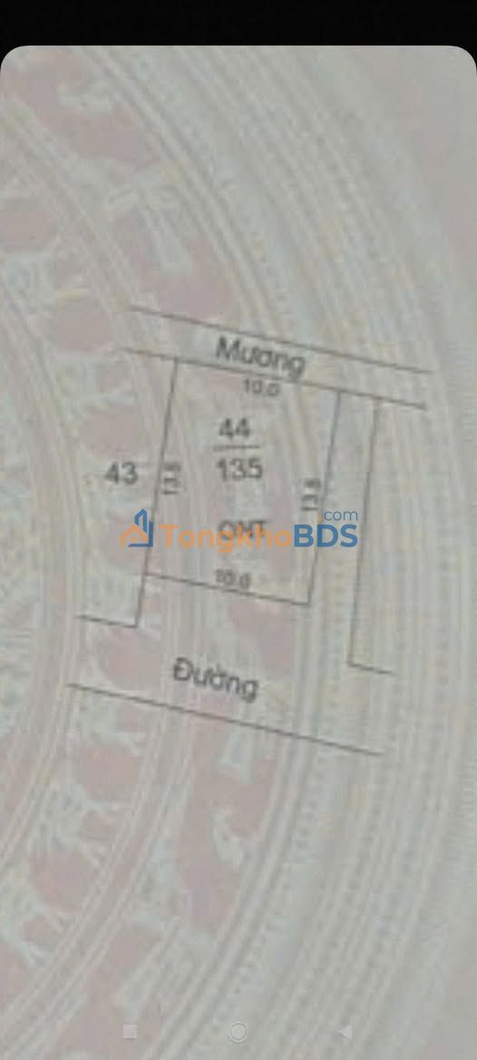 Đất nền Hải Sơn Hải Hậu 135m² giá 9xx - Sổ đỏ chính chủ