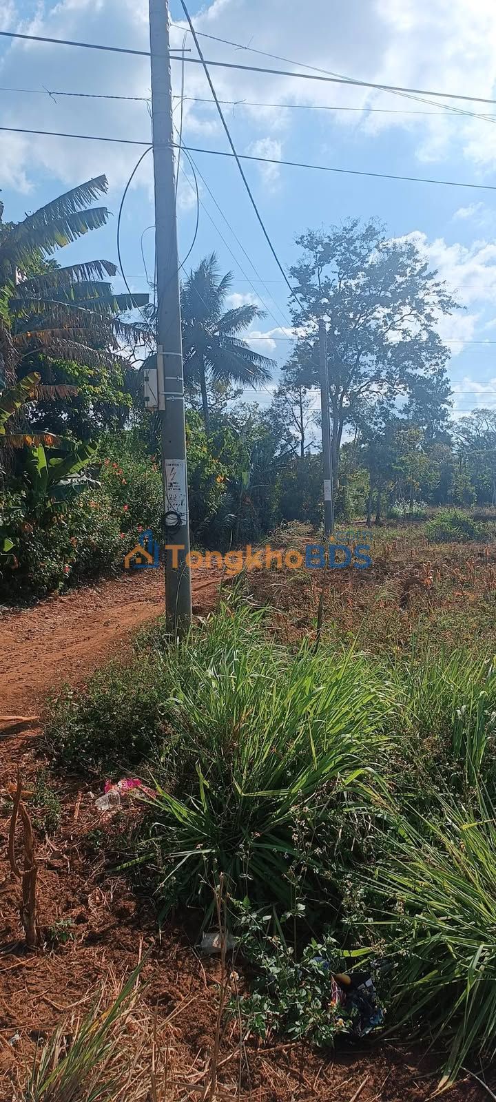 Đất nền Ea Kar 1.188m² giá thỏa thuận - Đất thổ cư 100%