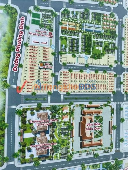 Đất nền Thanh Hóa Tào Xuyên 100m² - Sổ đỏ chính chủ